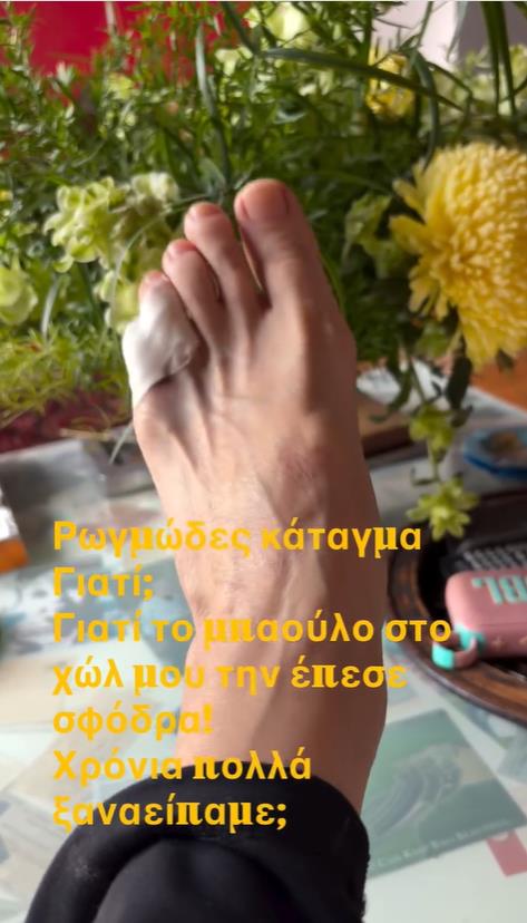 5488493279487983 image