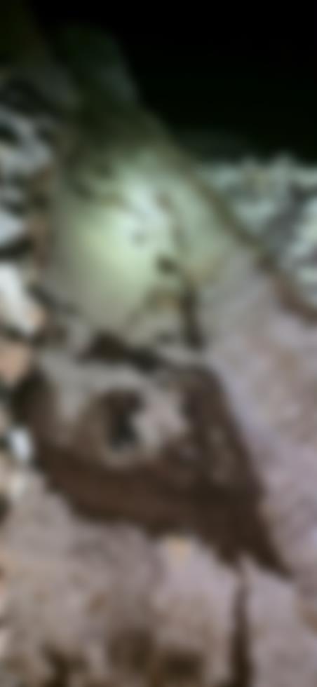 5491979798079961 image