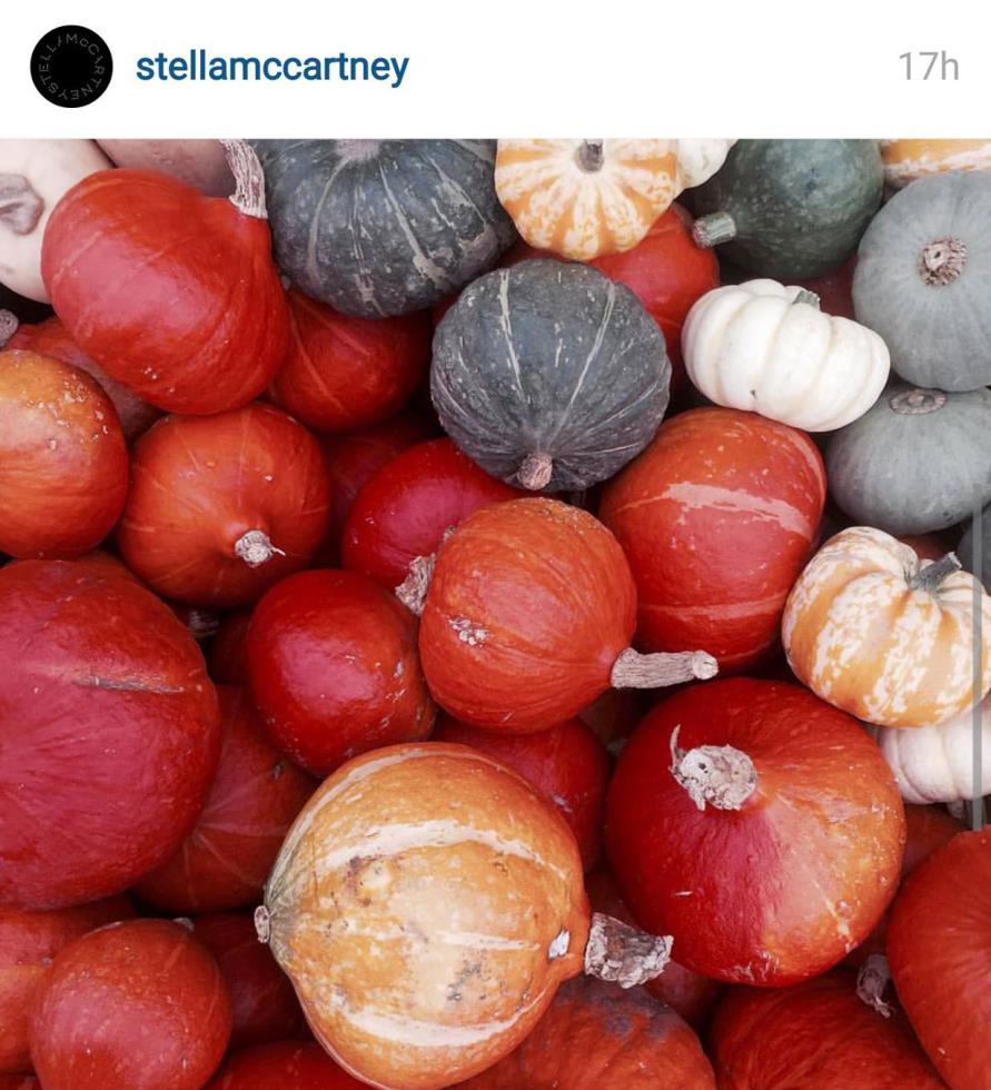 Οι κολοκύθες της Stella McCartney