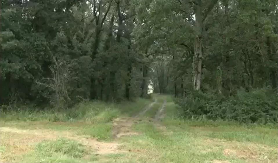 5498288100124563 image