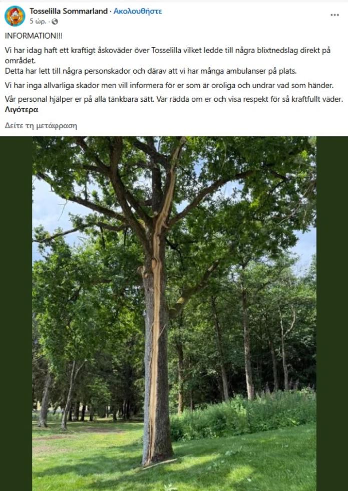 5519077279277289 image
