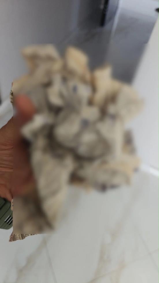 5523218398671235 image