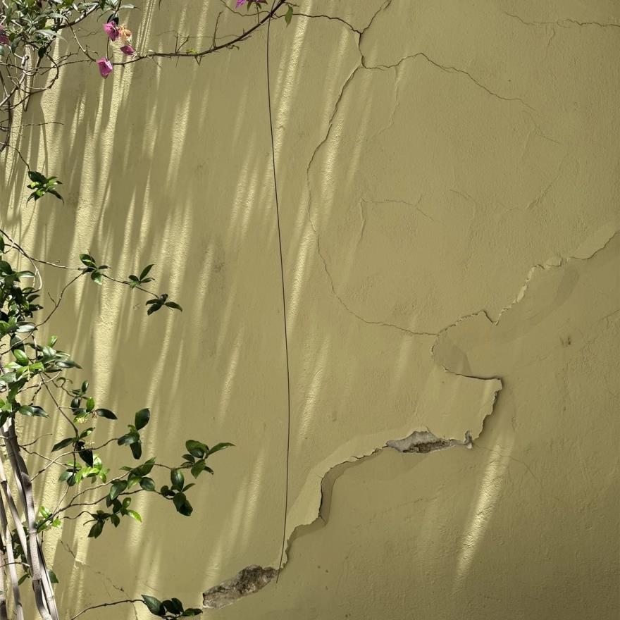 5533735880838536 image