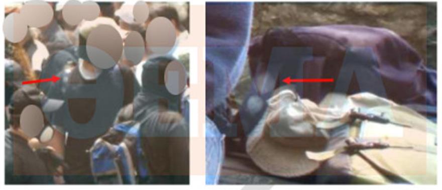 5534526502438754 image