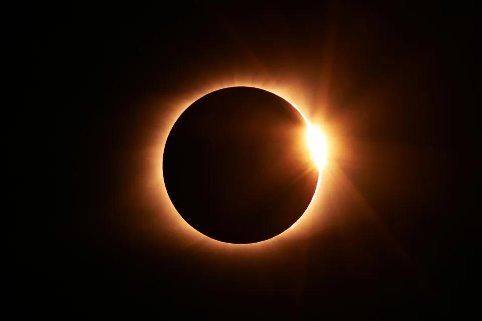 5542089576602223 image