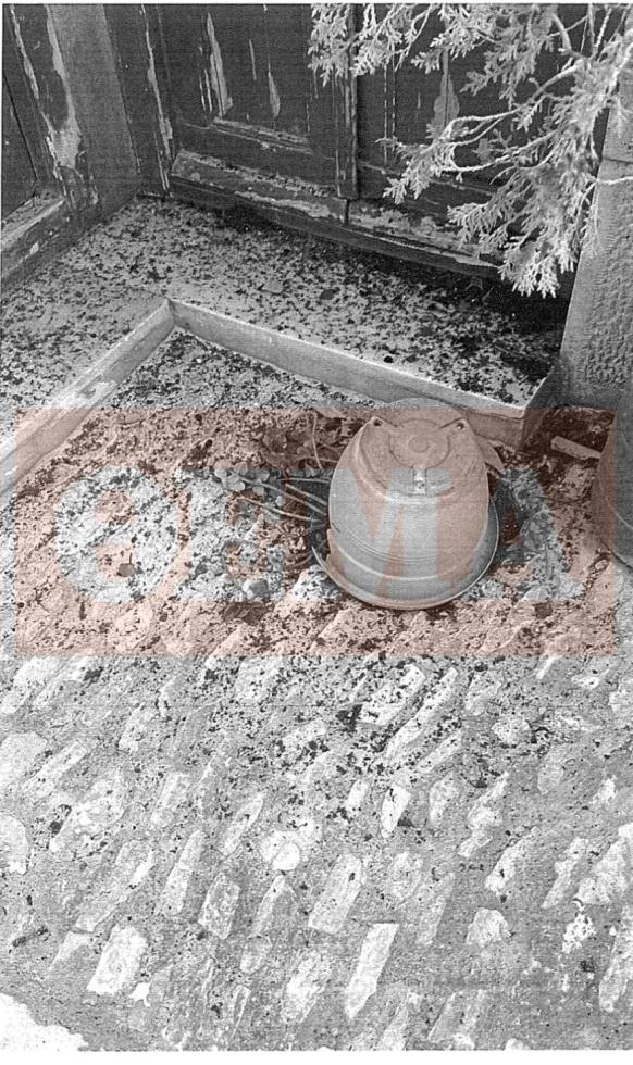 5543887515121325 image