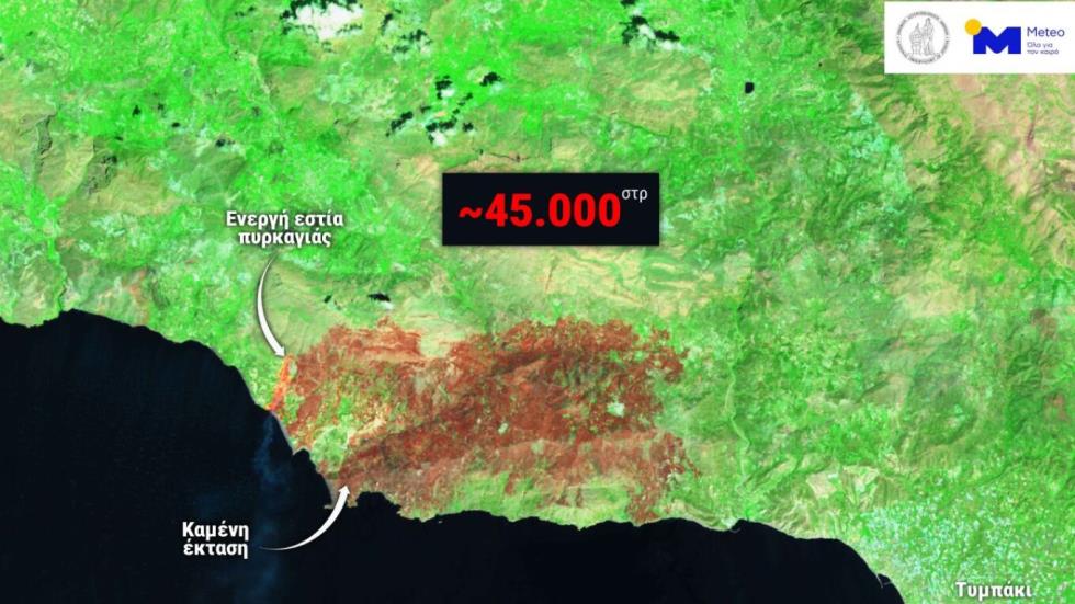 5546769576979032 image