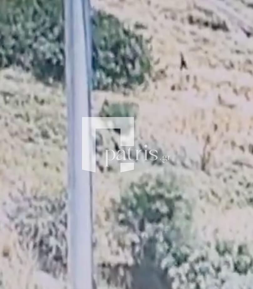 5548295122547070 image