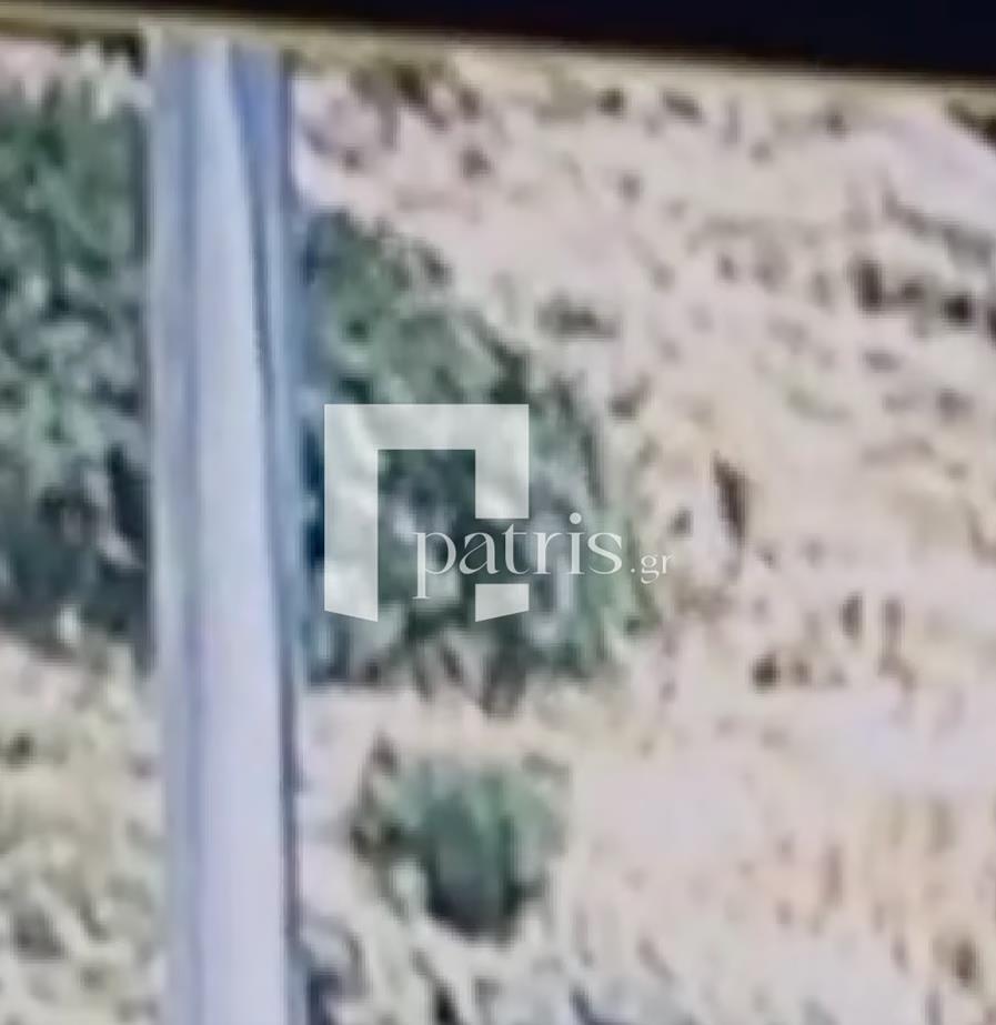 5548305055936859 image