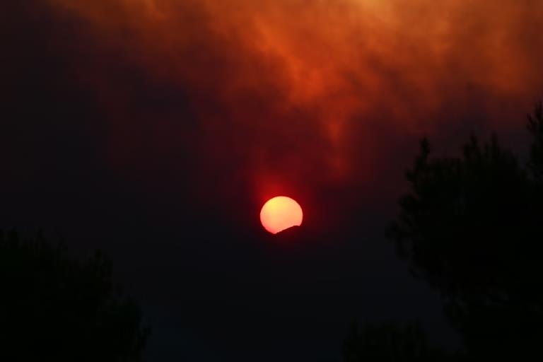 5548865286255743 image