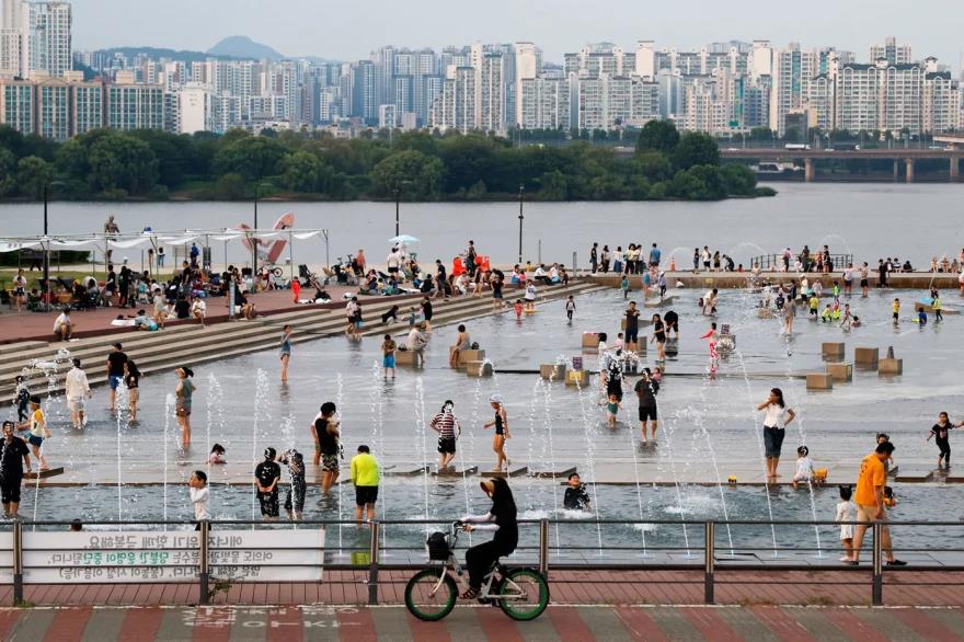 5549010399061102 image