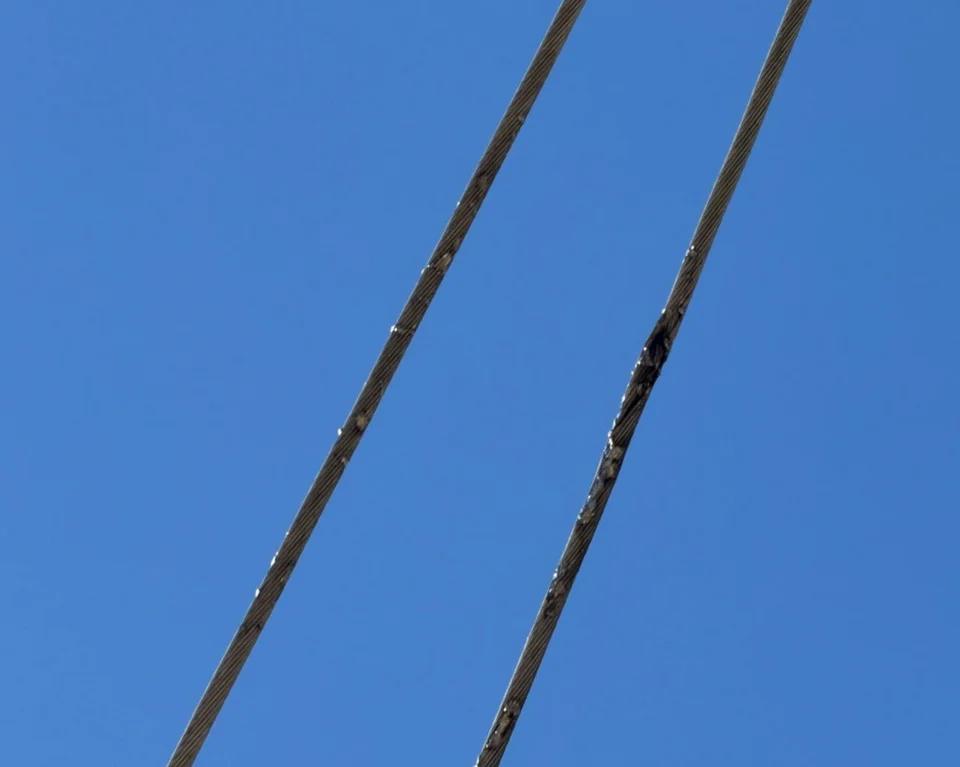 5551471797769281 image