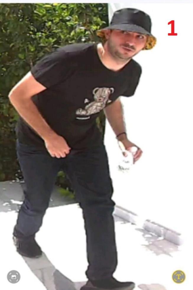 5552506716882879 image