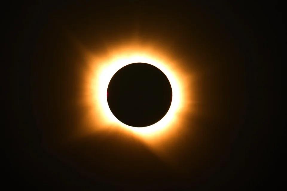 5558040882551831 image