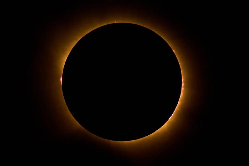5558040963713771 image