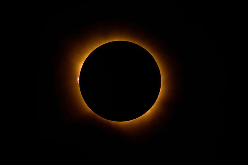 5558475394119469 image