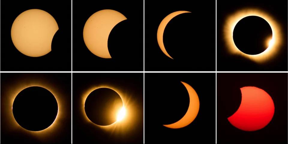 5558476035053239 image