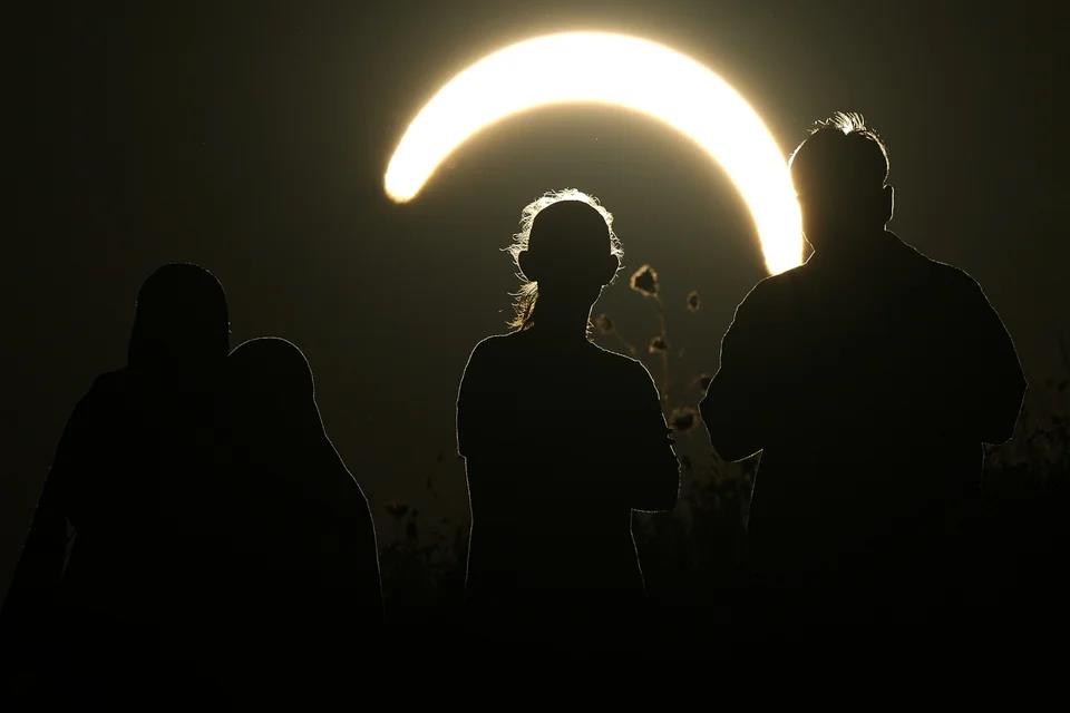 5558478418775014 image