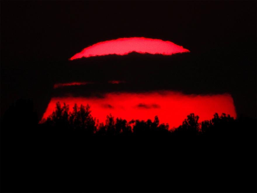5558595645275501 image