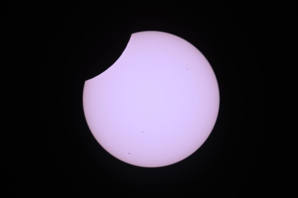 5558597799109162 image