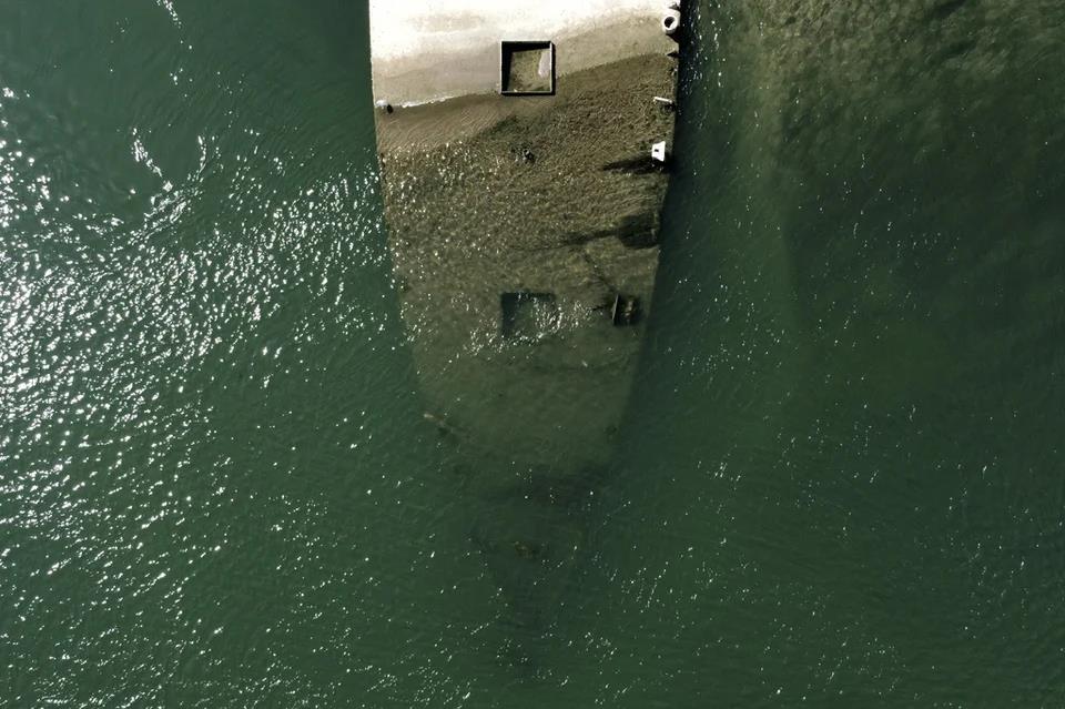 5564875580563743 image