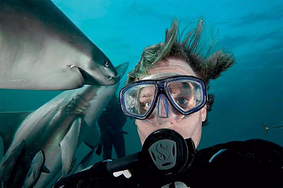 5565712711051351 image