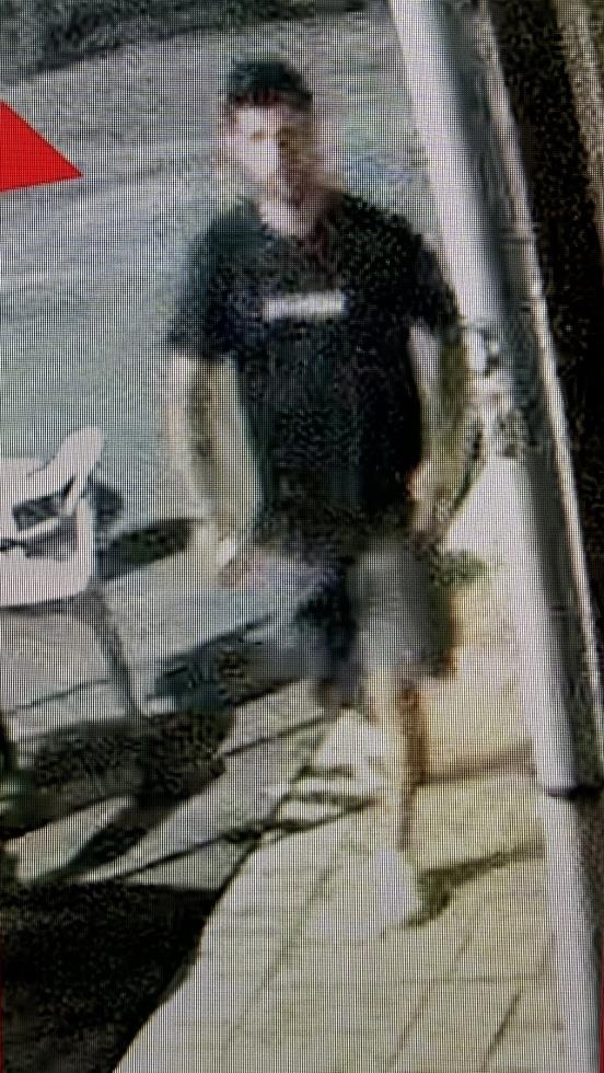 5572359282884561 image