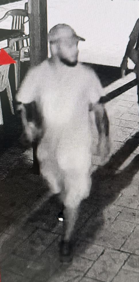 5572360061366704 image