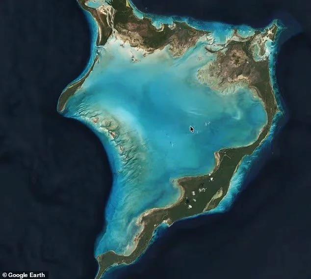 5581360662042464 image