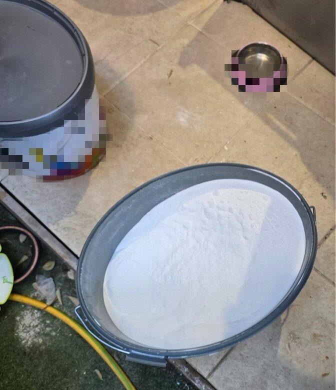 5585170614455826 image