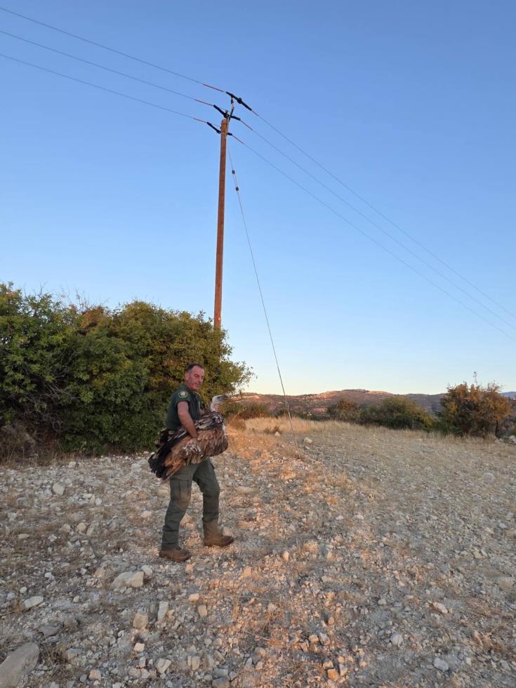 5607890374842811 image