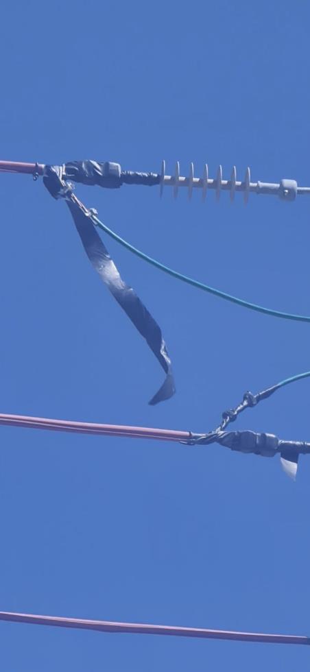 5607890660737654 image