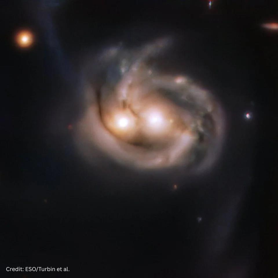 5626809437339386 image