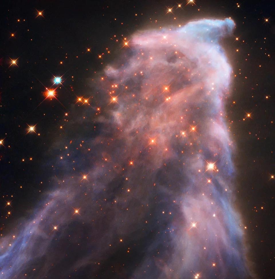 5626809493873356 image