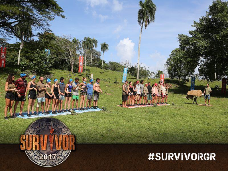 survivor gr