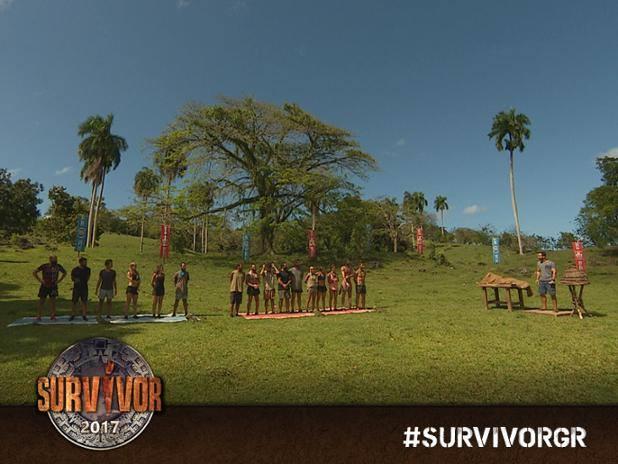 survivor gr