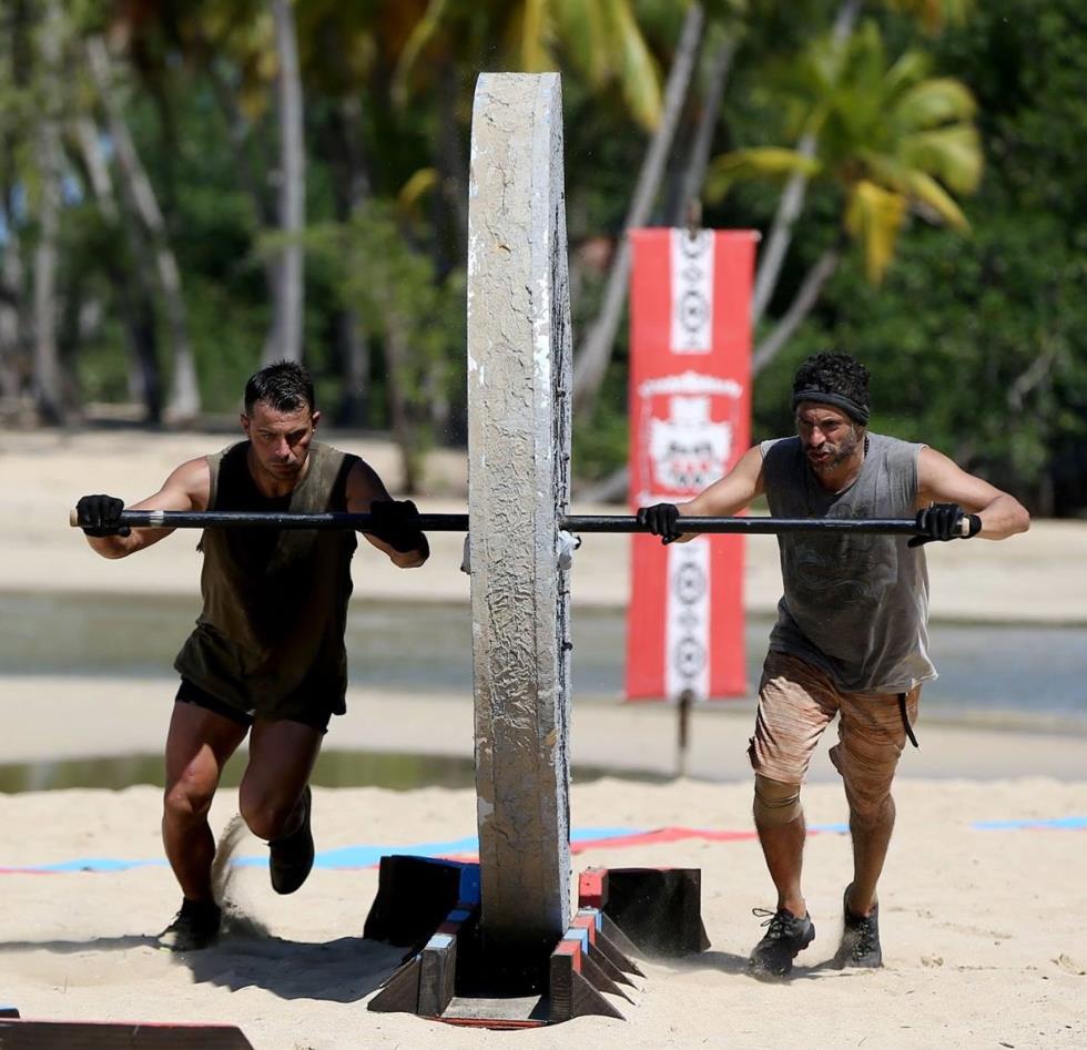 Survivor gr