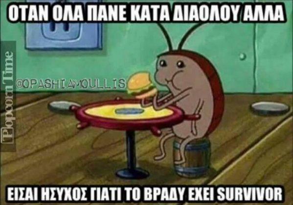 survivor gr