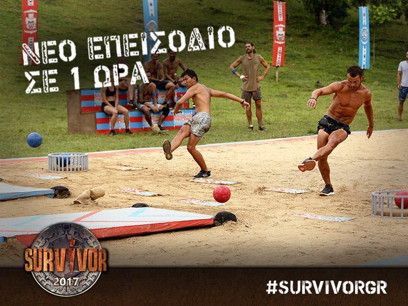 survivor gr