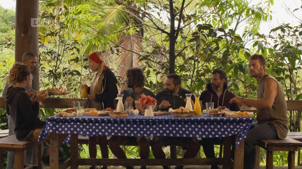 survivor gr