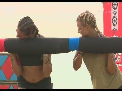 survivor gr