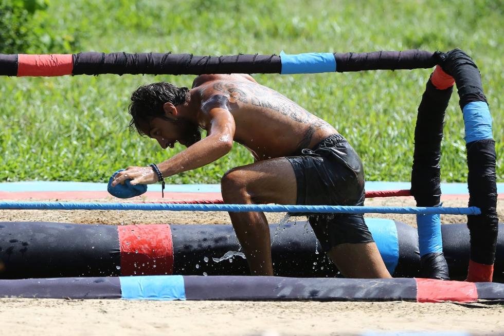 survivor gr