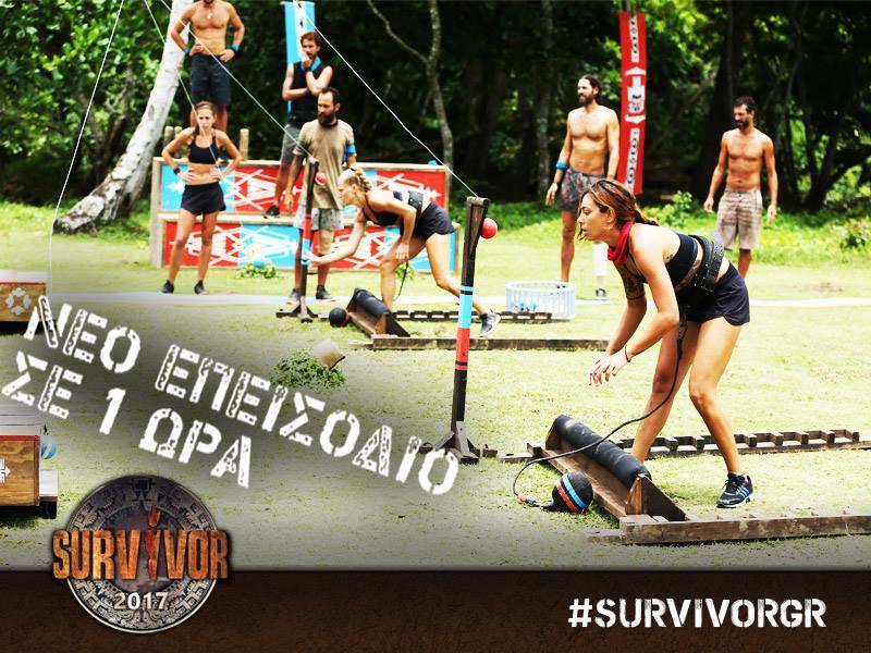 survivor gr