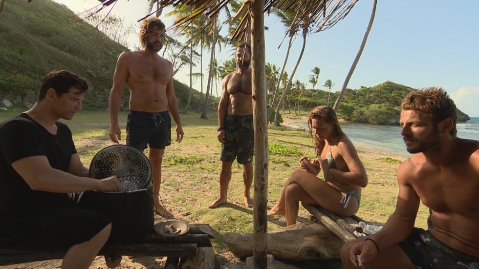 SURVIVOR GR