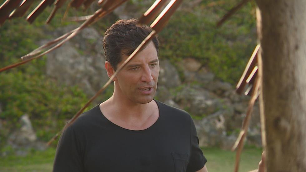 SURVIVOR GR