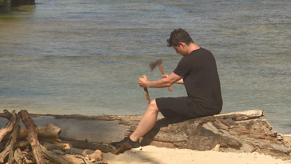 SURVIVOR GR