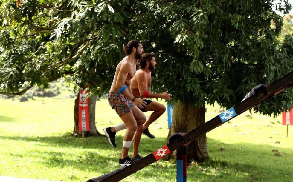 survivor gr