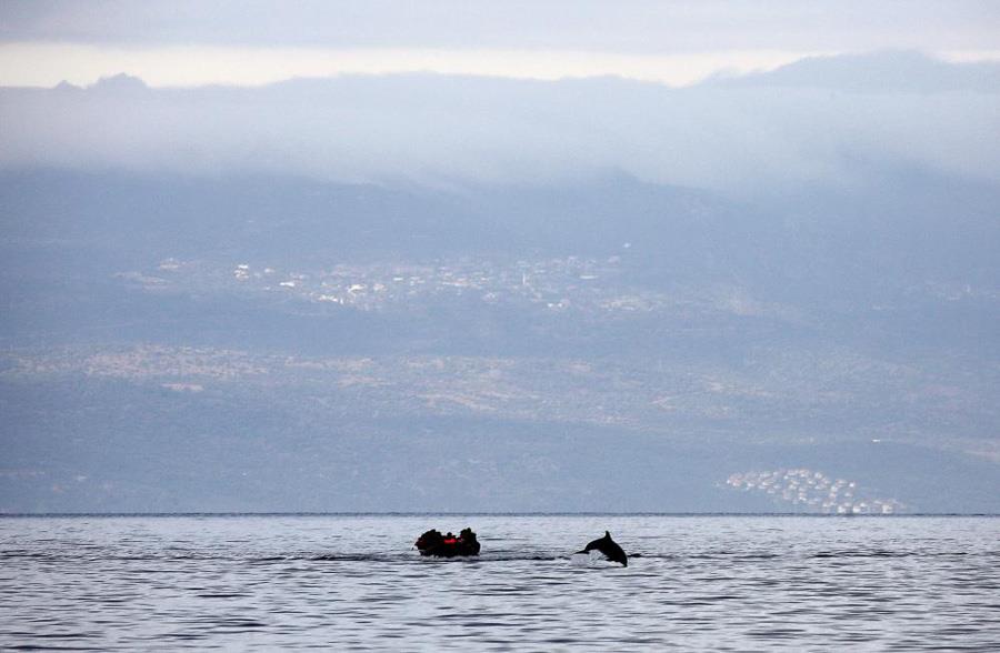 Μπεχράκης 2 δελφίνι
