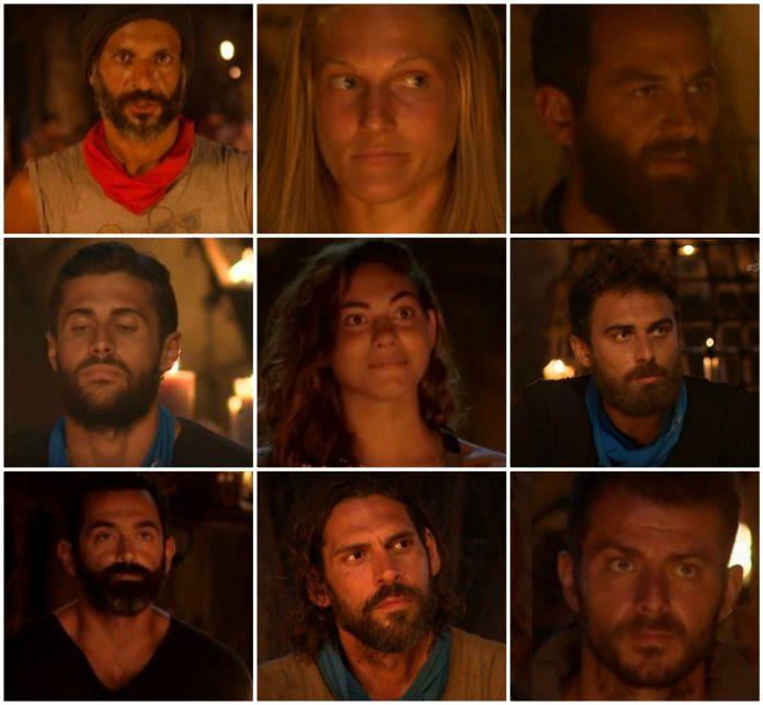 survivor gr