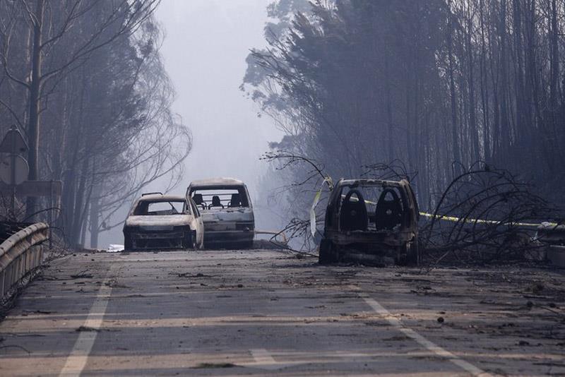 PORTUGAL FOREST FIRES